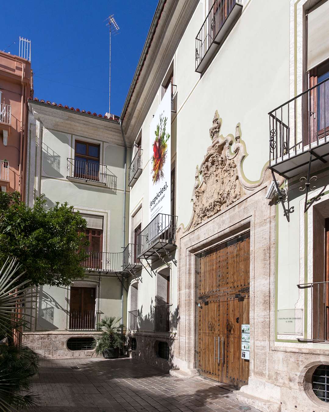 Museo de las Ciencias Médicas (Palacio de Cerveró)
