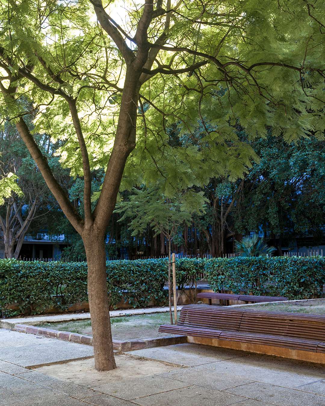 Jardín Alfredo Candel